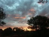 Kings canyon